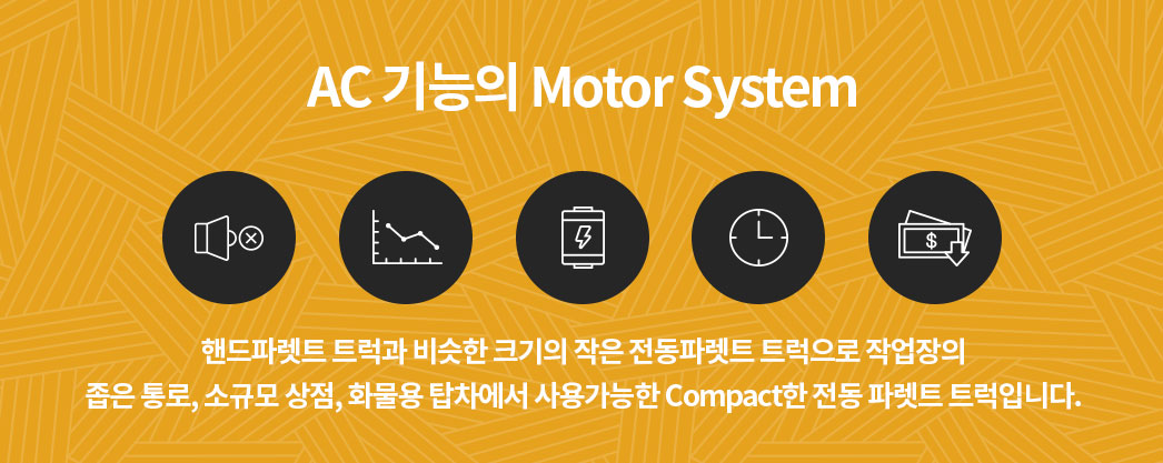 AC  Motor System